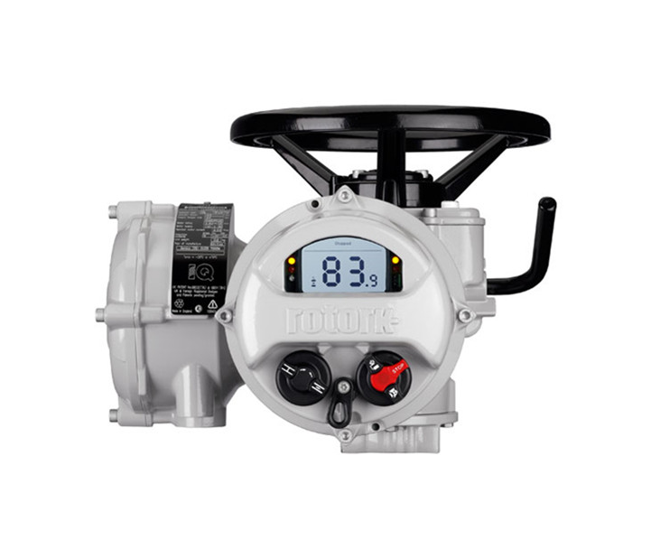 羅托克電動(dòng)執(zhí)行器角行程型號(hào)可以調(diào)整速度嗎？如何操作？